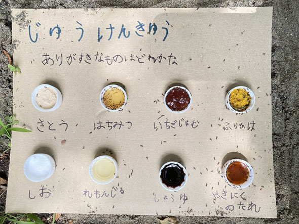 自由研究