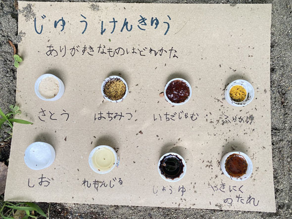 自由研究