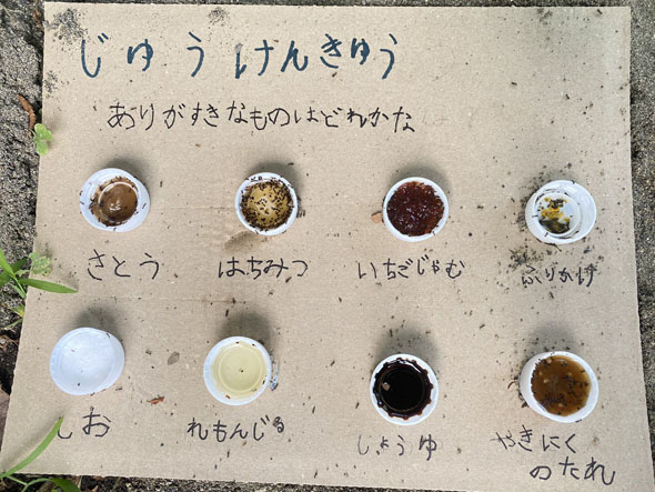 自由研究