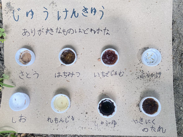 自由研究