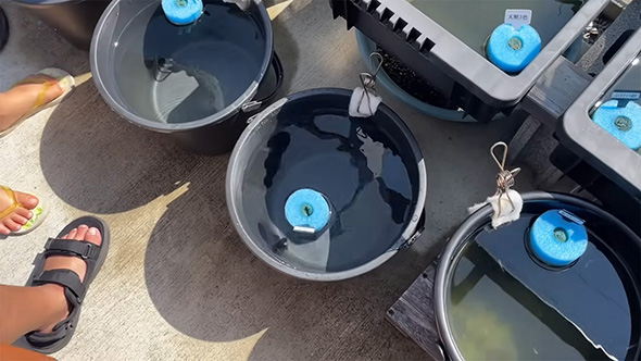 子どもの足とバケツ