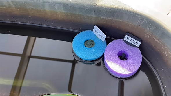 サイアム・ニンフのタライ