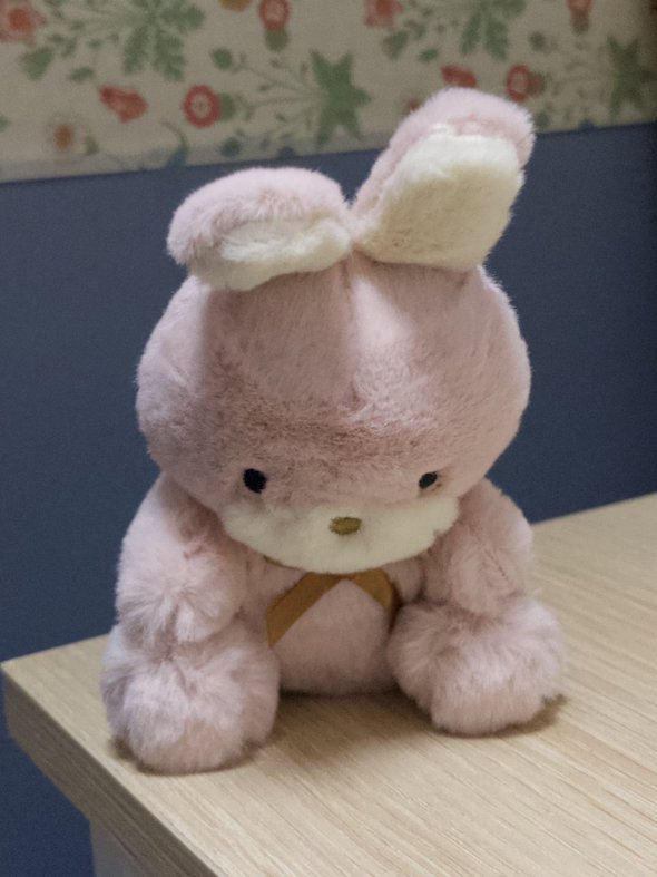 じっと下を見つめるウサギのぬいぐるみ、悲壮感たっぷりな姿にソワソワ……