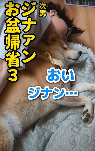 次男と動物たち