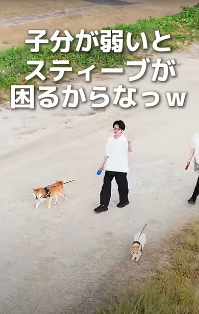 次男と動物たち