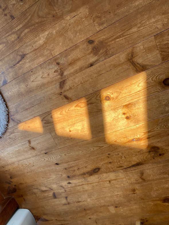 実家 家 現れる ビックリマーク アディダス adidas ロゴ 射し込む光