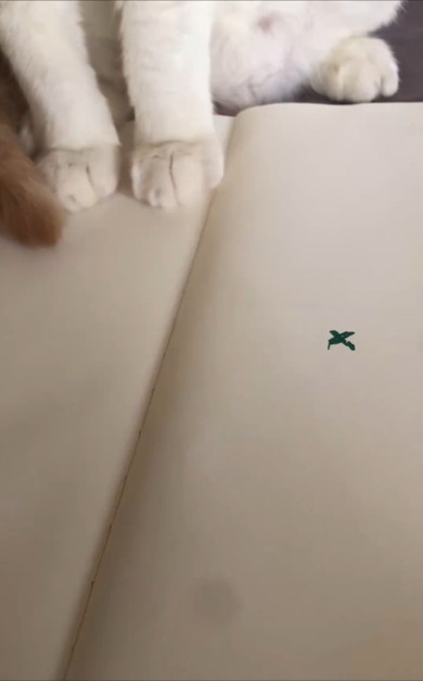 絵で描いたハエ