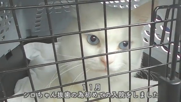 11月、初めての入院