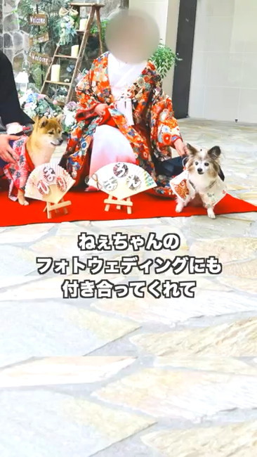 フォトウェディング