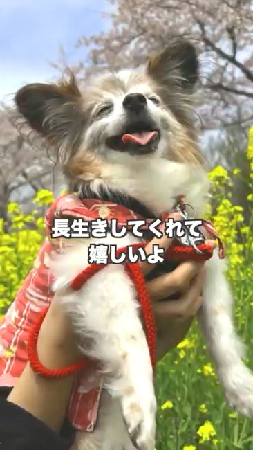 長生きうれしい