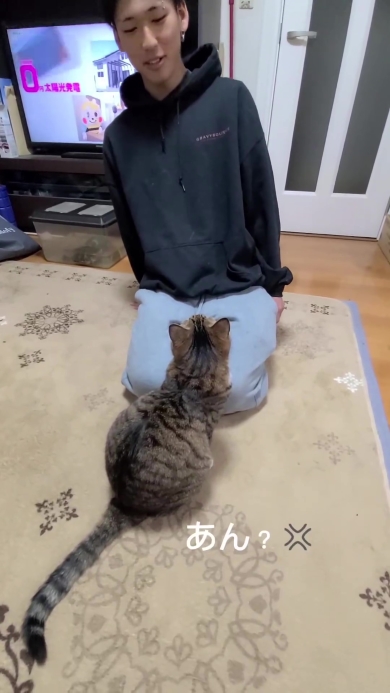 ニャンコと向き合う男性