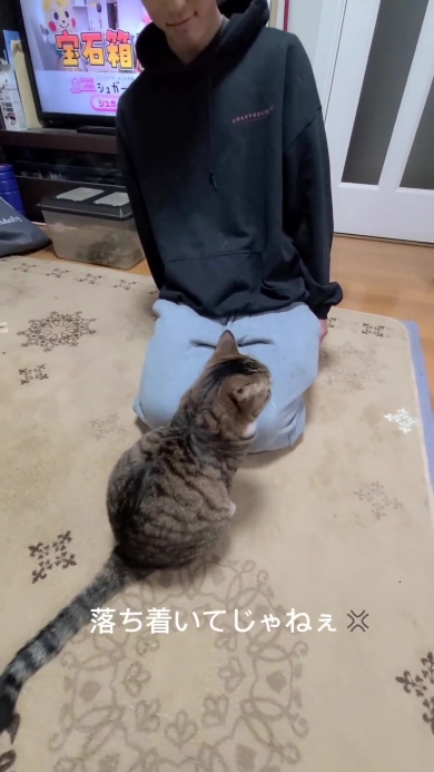 ニャンコと向き合う男性