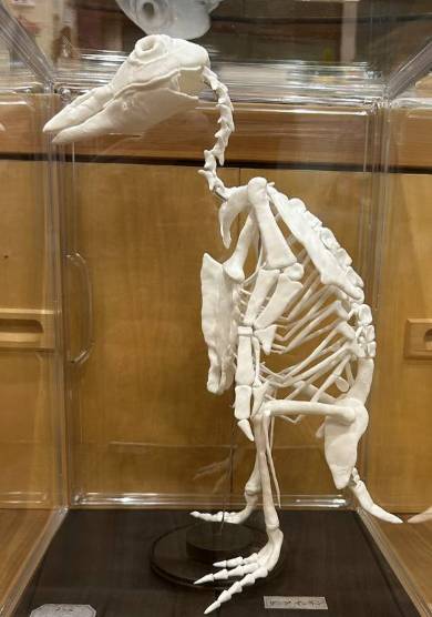 funfan / Kenji NakatsukaさんのX投稿