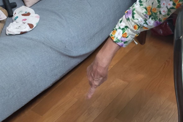 猫ちゃんを指さしているおばあさん