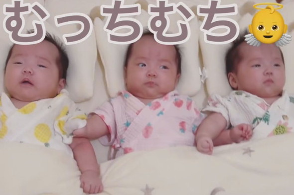 寝ている三つ子の赤ちゃん