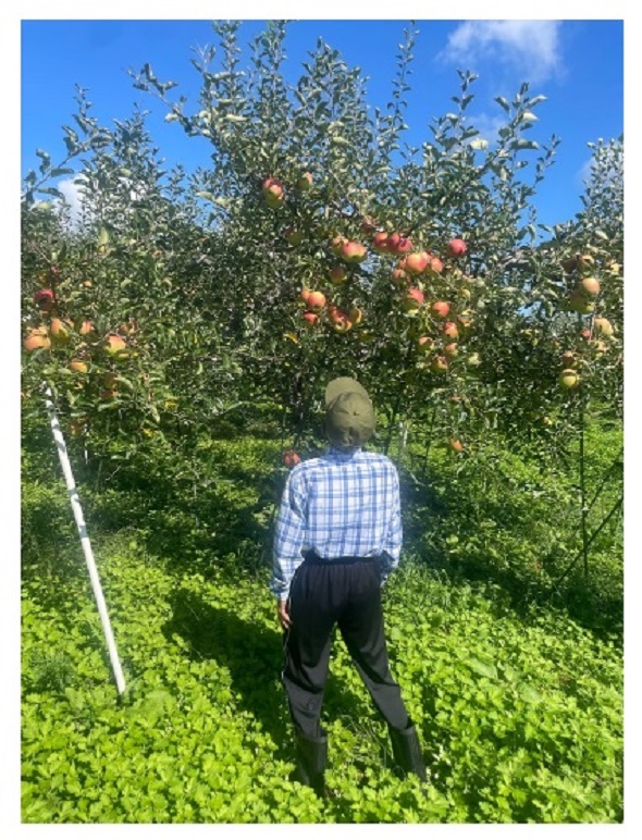 市川團十郎白猿と“奇跡のリンゴ”木村秋則