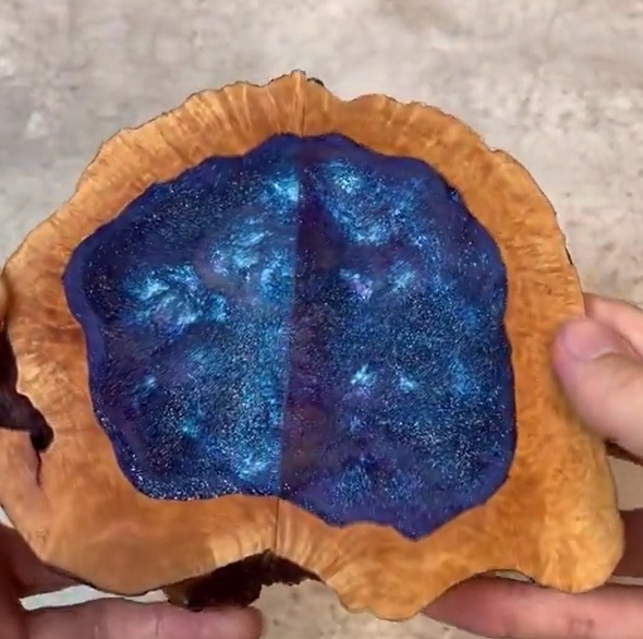 木の中に宇宙01