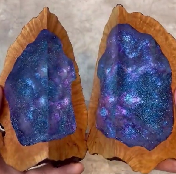 木の中に宇宙02