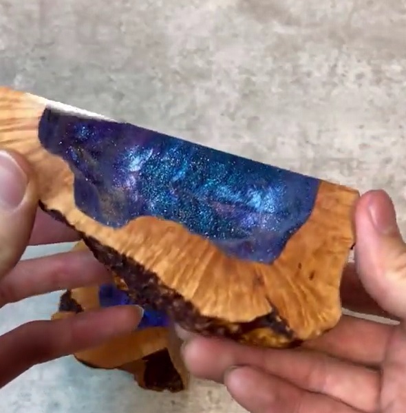 木の中に宇宙03