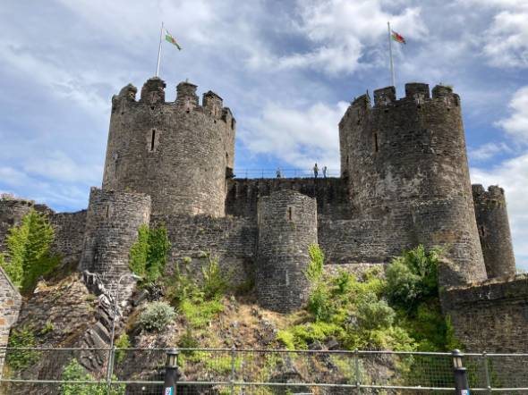 今週の輝けないワセジョさんのX投稿