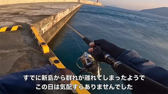 すでに新島から群れが