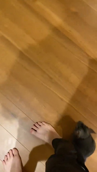 足元のチンチラ