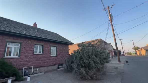 草木が生い茂った庭を3日間でステキに大変身