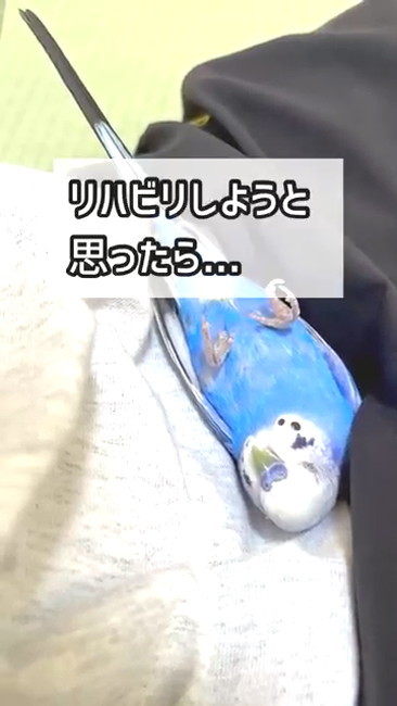 リハビリしようと思ったら