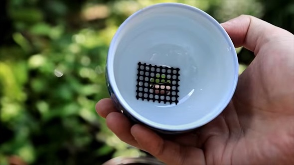 湯呑みにさつまいもを植えてみた