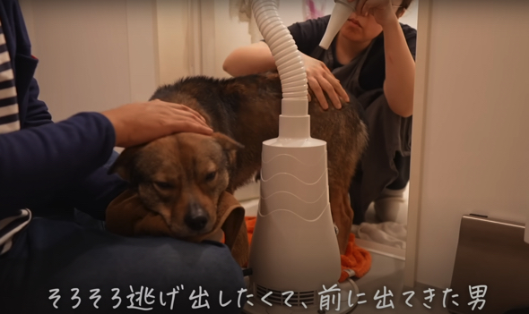 限界がきたのかな