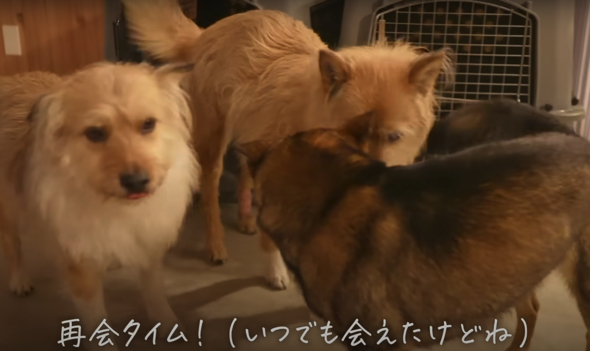 脱走して姉たちと再会