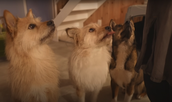 待ちに待ったおやつタイム