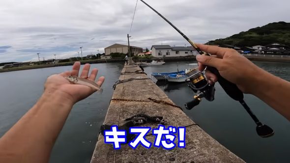 出向いた先でキスを釣った夫