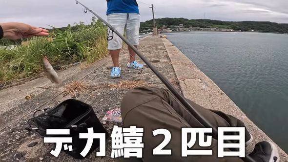 出向いた先で妻が釣り上げた大きなキス