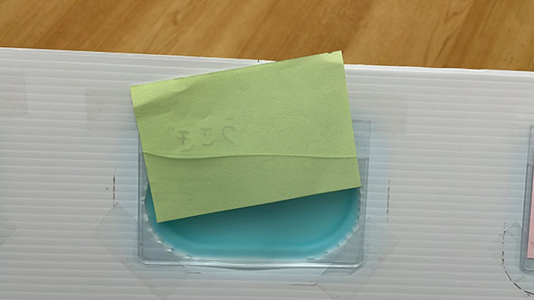 カードの中身を差し替えるところ