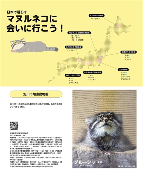 マヌルネコカレンダー