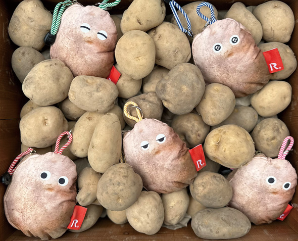 カルビー ROOTOTE コラボ スナックトート ポテトポーチ ポテトチップス 収納 12袋