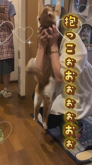 飼い主さんと再会して喜ぶ猫ちゃん