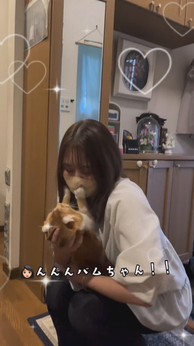 飼い主さんと再会して喜ぶ猫ちゃん