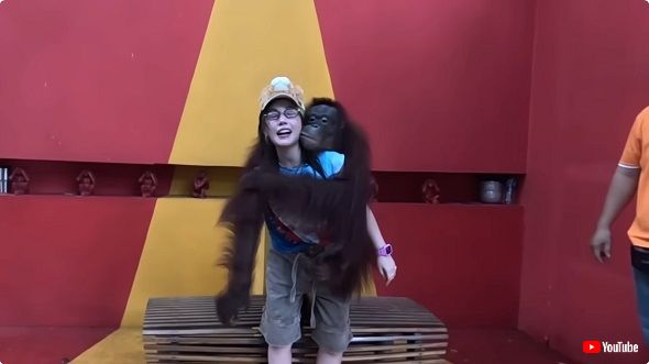 オランウータンに翻弄される仲里依紗