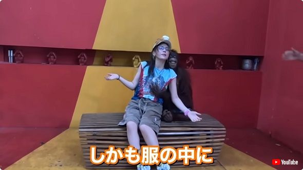 オランウータンに翻弄される仲里依紗
