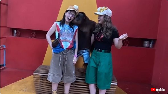 オランウータンに翻弄される仲里依紗