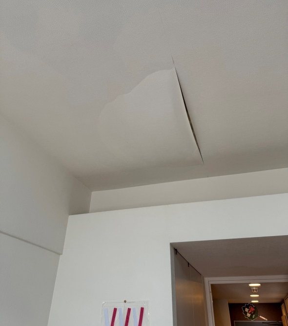 ムヒョとロージーの魔法律相談事務所の作者・西義之