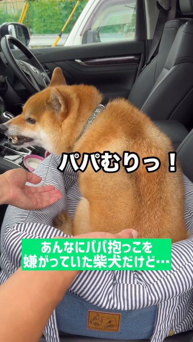 パパに抱っこされるワンコ