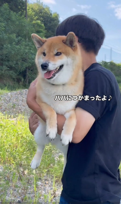 パパに抱っこされるワンコ