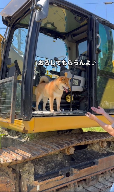 パパに抱っこされるワンコ