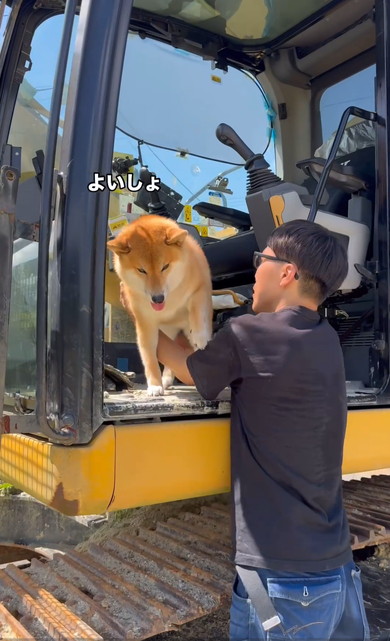 パパに抱っこされるワンコ