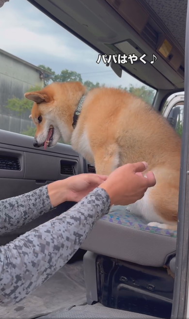 パパに抱っこされるワンコ