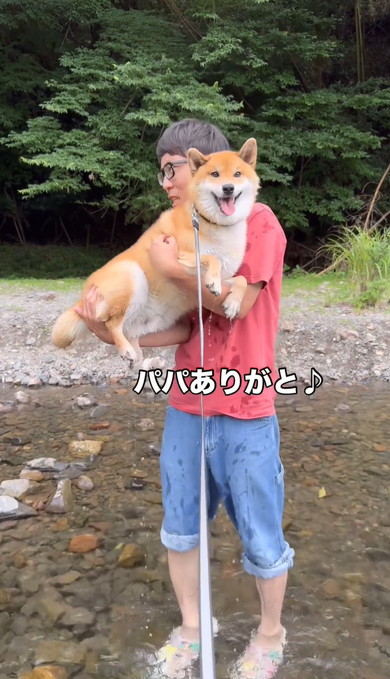 パパに抱っこされるワンコ