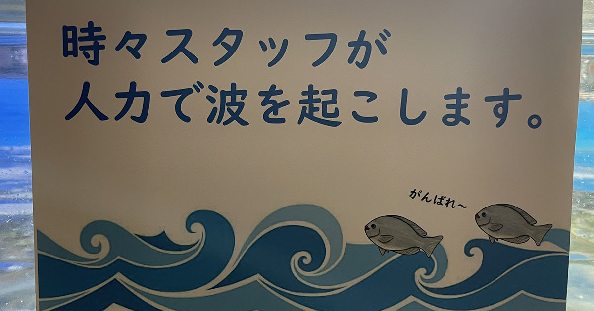 水族館「装置が故障しました」→しかし……　“そうはならんやろ”な苦肉の策に12万いいね　「嘘やろwww」（1/3） | その他生き物 ねとらぼ